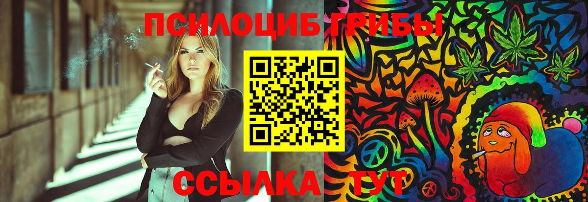 Галлюциногенные грибы Psilocybe Щёлково
