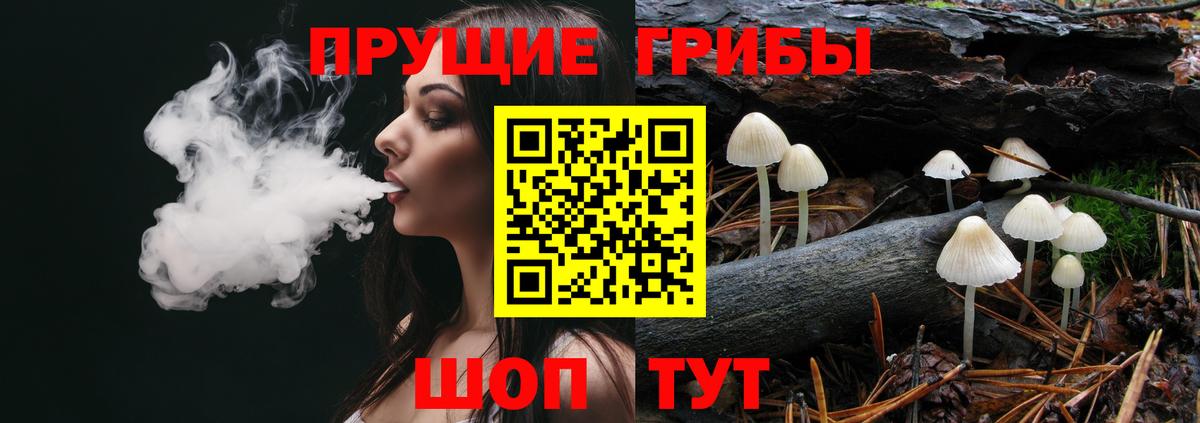 Галлюциногенные грибы MAGIC MUSHROOMS  Вход с VPN  Галлюциногенные грибы MAGIC MUSHROOMS  Щёлково 